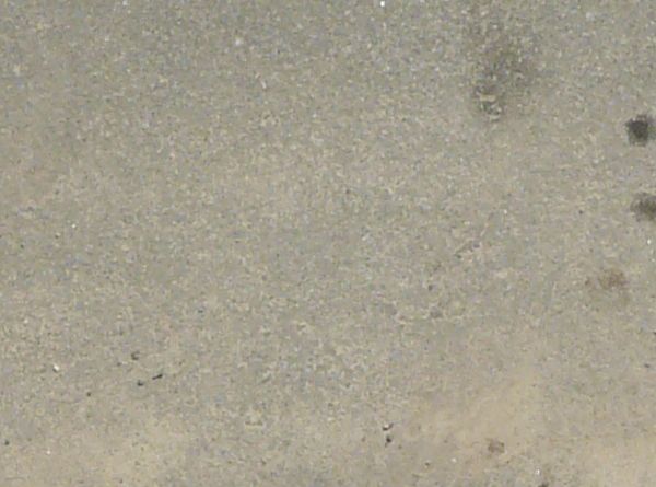 Road edge texture, with a concrete surface covered in fine dust in between a cracked dark road and an area of weeds and dirt.